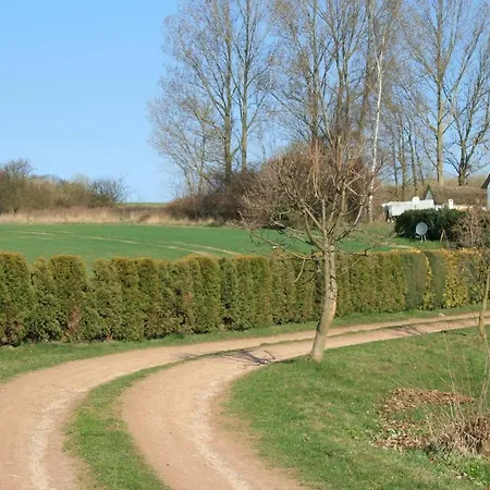 Vilmblick *